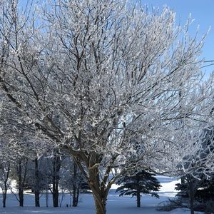 Meet your Posher, Annette